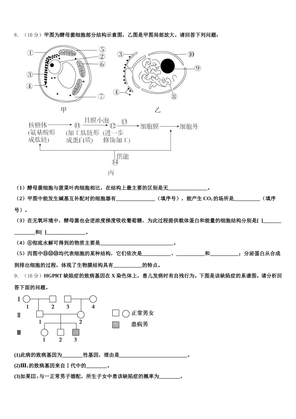 四川省凉山州木里藏族自治县中学2024-2025学年高一生物第二学期期末学业质量监测试题含解析_第3页