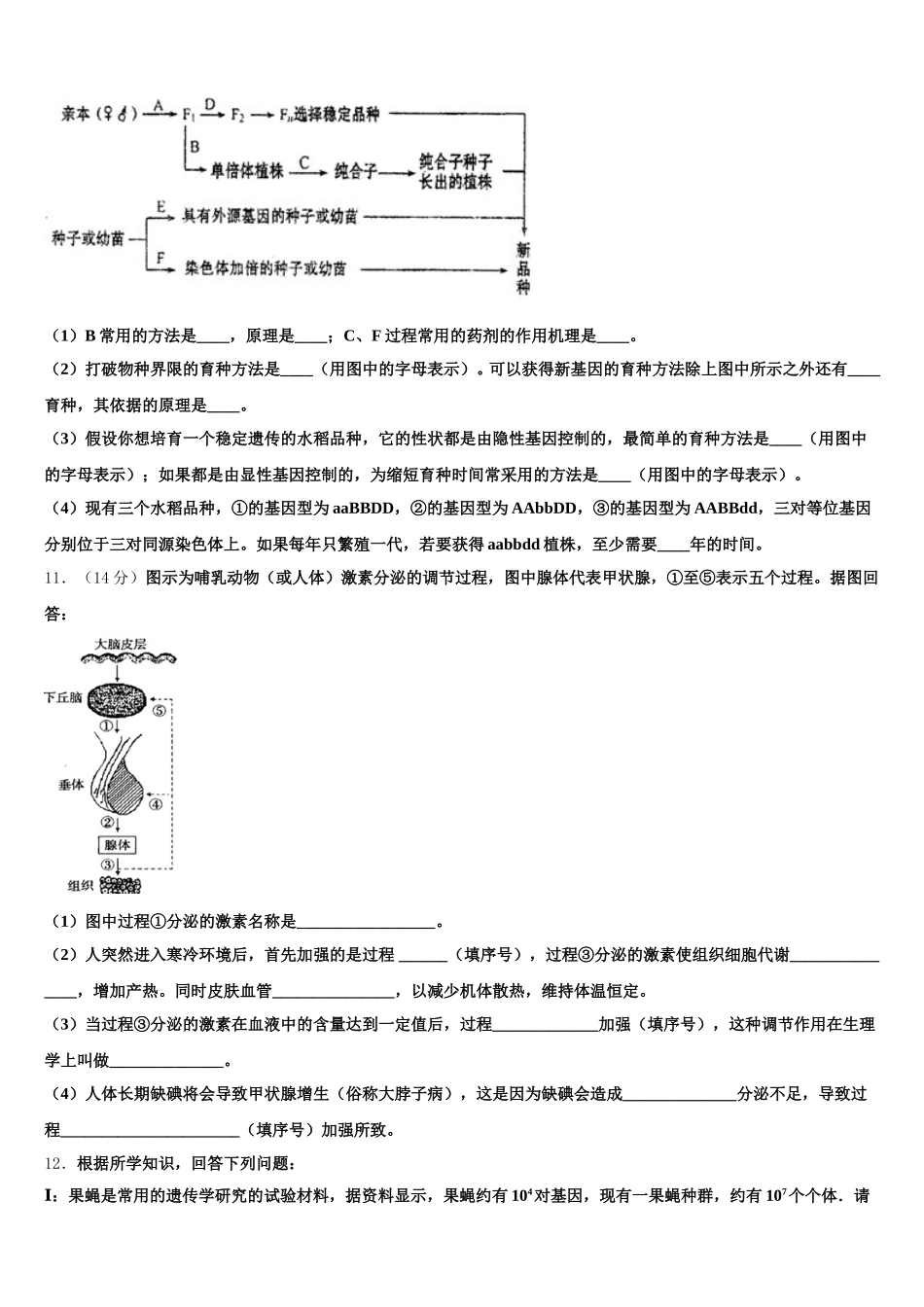 四川邻水实验学校2025年生物高一第二学期期末质量跟踪监视试题含解析_第3页