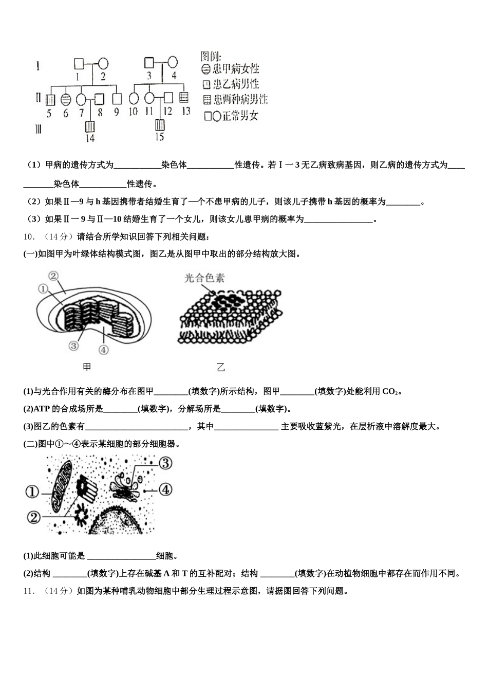 2025届四川省雅安中学生物高一第二学期期末统考模拟试题含解析_第3页
