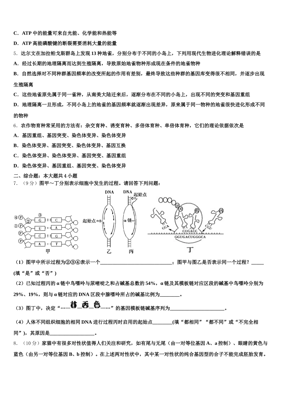 四川省眉山第一中学2025届高一下生物期末学业质量监测模拟试题含解析_第2页
