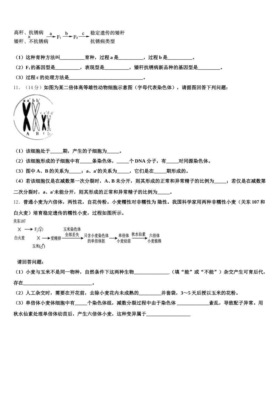 2024-2025学年四川省泸州泸县第五中学高一下生物期末学业水平测试模拟试题含解析_第3页