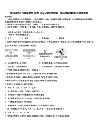 四川省内江市球溪中学2024-2025学年生物高一第二学期期末综合测试试题含解析