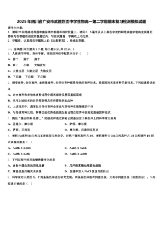 2025年四川省广安市武胜烈面中学生物高一第二学期期末复习检测模拟试题含解析