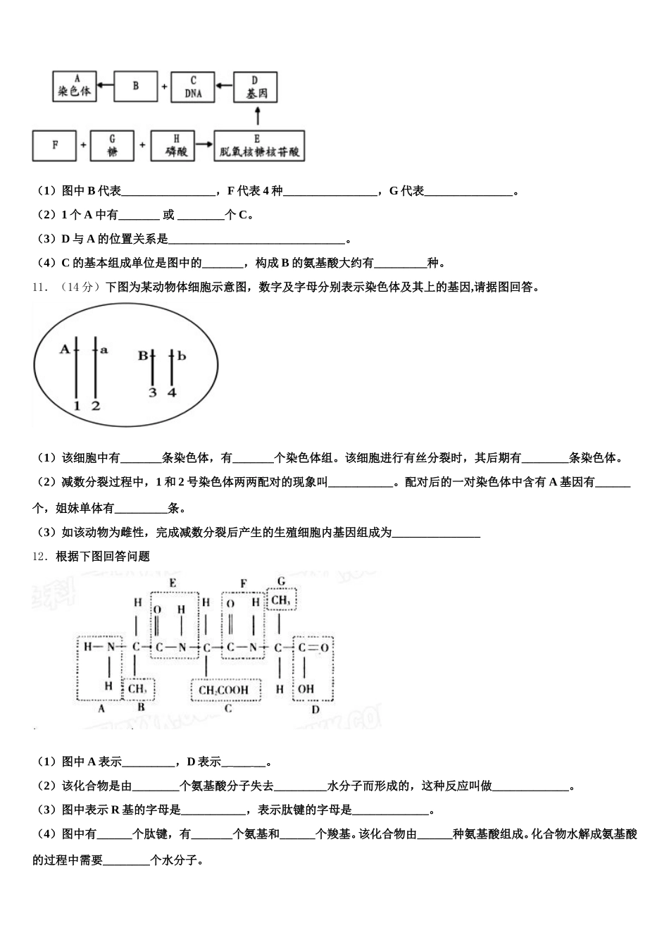 2024-2025学年四川省绵阳东辰国际学校高一下生物期末复习检测试题含解析_第3页