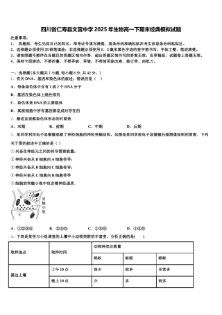 四川省仁寿县文宫中学2025年生物高一下期末经典模拟试题含解析