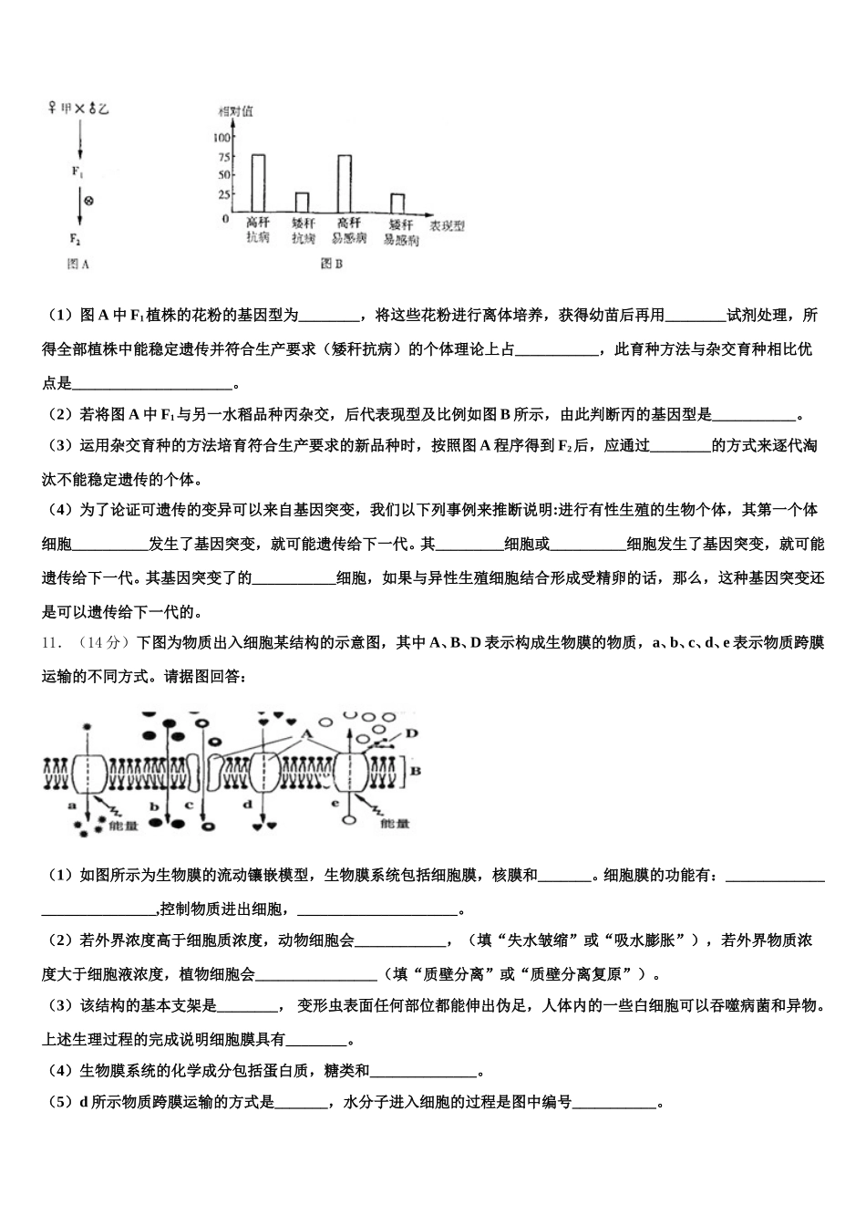 四川省广元市虎跳中学2024-2025学年高一下生物期末统考试题含解析_第3页