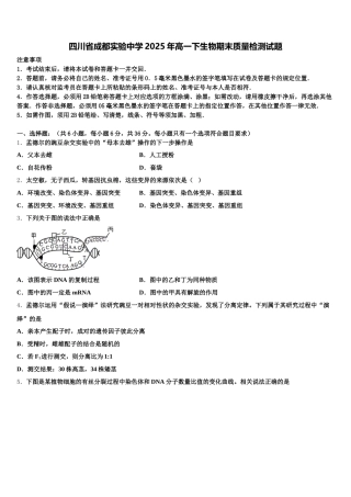 四川省成都实验中学2025年高一下生物期末质量检测试题含解析