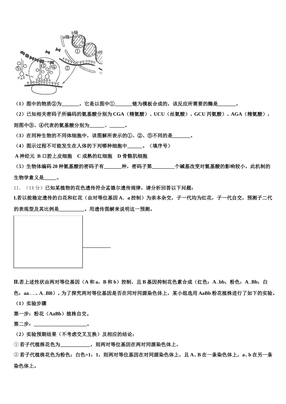 2025届四川省德阳市重点中学生物高一第二学期期末学业水平测试试题含解析_第3页
