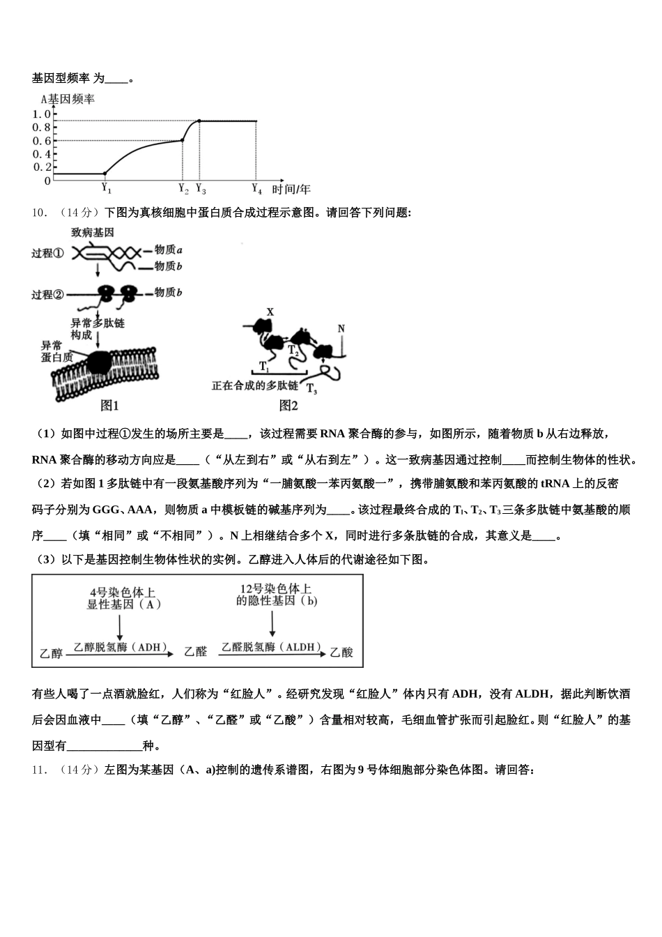2025年四川省成都市金牛区外国语学校生物高一下期末达标检测模拟试题含解析_第3页