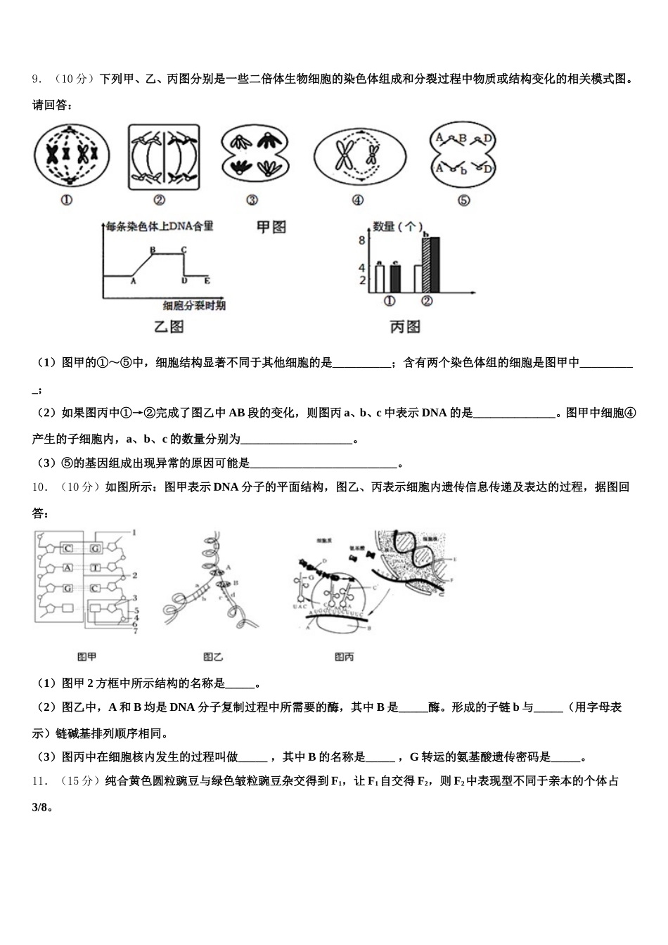 2025年四川巫溪县白马中学生物高一下期末经典试题含解析_第3页
