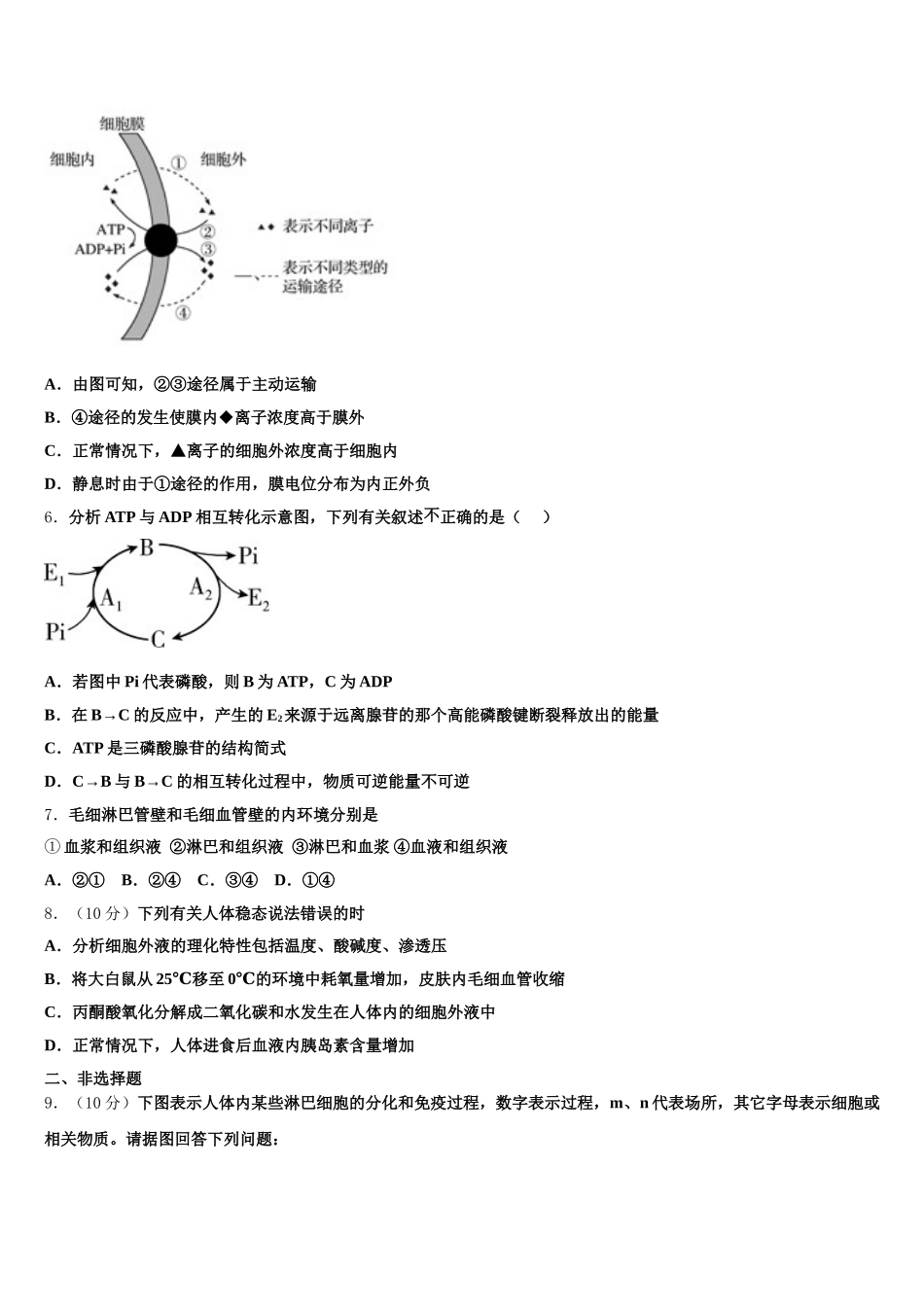 成都市2024-2025学年生物高一下期末综合测试试题含解析_第2页