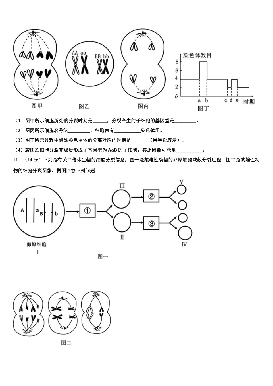 2025年四川省广安中学生物高一下期末调研试题含解析_第3页