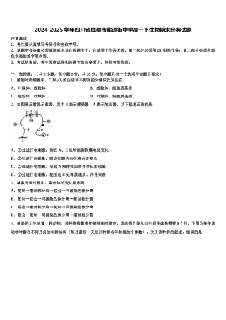2024-2025学年四川省成都市盐道街中学高一下生物期末经典试题含解析