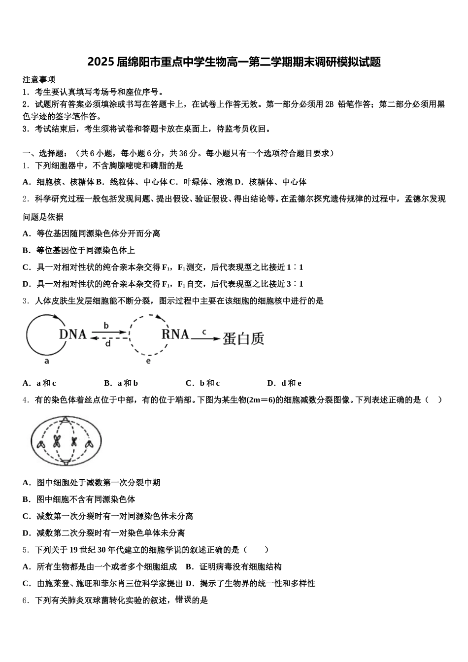 2025届绵阳市重点中学生物高一第二学期期末调研模拟试题含解析_第1页