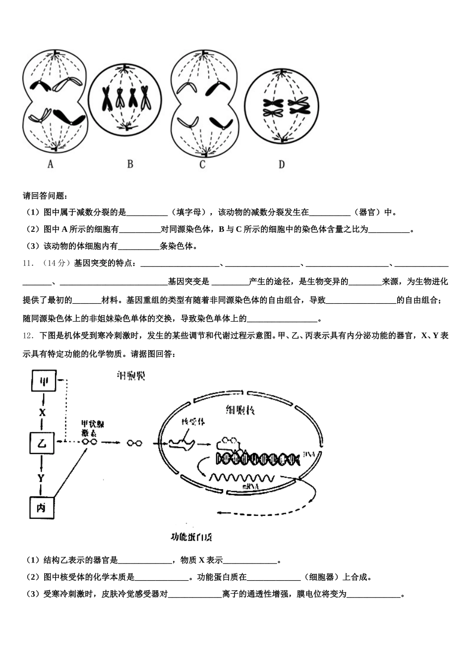 四川省绵阳市三台中学2025届高一下生物期末质量检测试题含解析_第3页