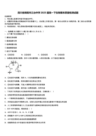 四川省绵阳市三台中学2025届高一下生物期末质量检测试题含解析