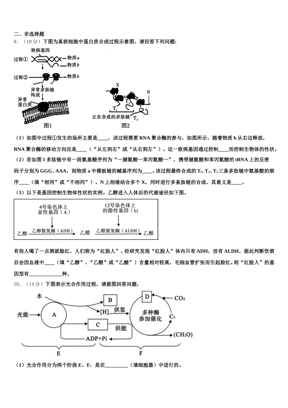 2025年四川省阿坝市高一生物第二学期期末质量跟踪监视模拟试题含解析_第3页