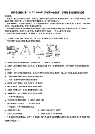 四川省峨眉山市二中2024-2025学年高一生物第二学期期末检测模拟试题含解析