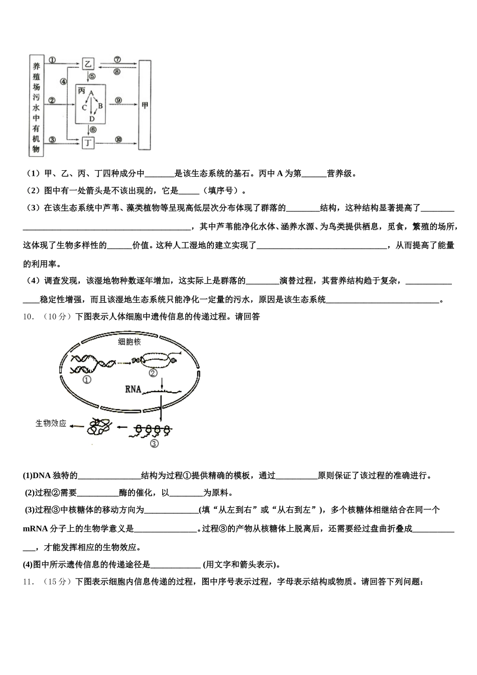 四川省眉山市东坡区多悦高级中学校2024-2025学年高一下生物期末监测模拟试题含解析_第3页