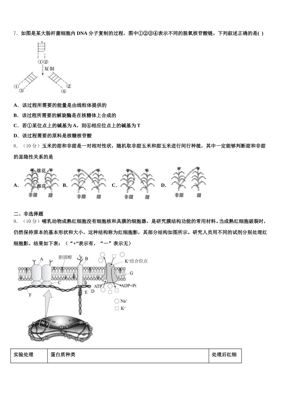 2025届四川省自贡市富顺县二中生物高一第二学期期末复习检测模拟试题含解析_第2页