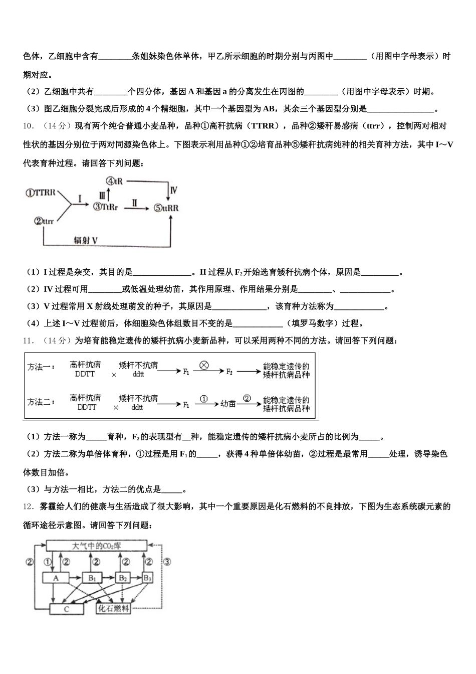 四川省金堂中学2024-2025学年高一下生物期末统考模拟试题含解析_第3页