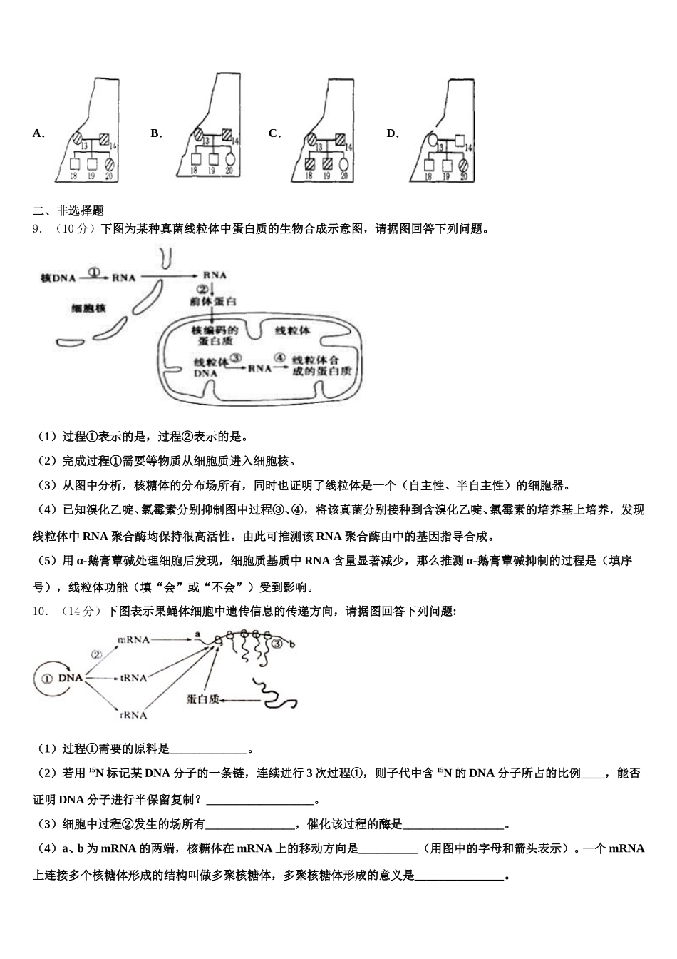 四川省乐山市犍为县初中2025年高一下生物期末质量跟踪监视试题含解析_第3页