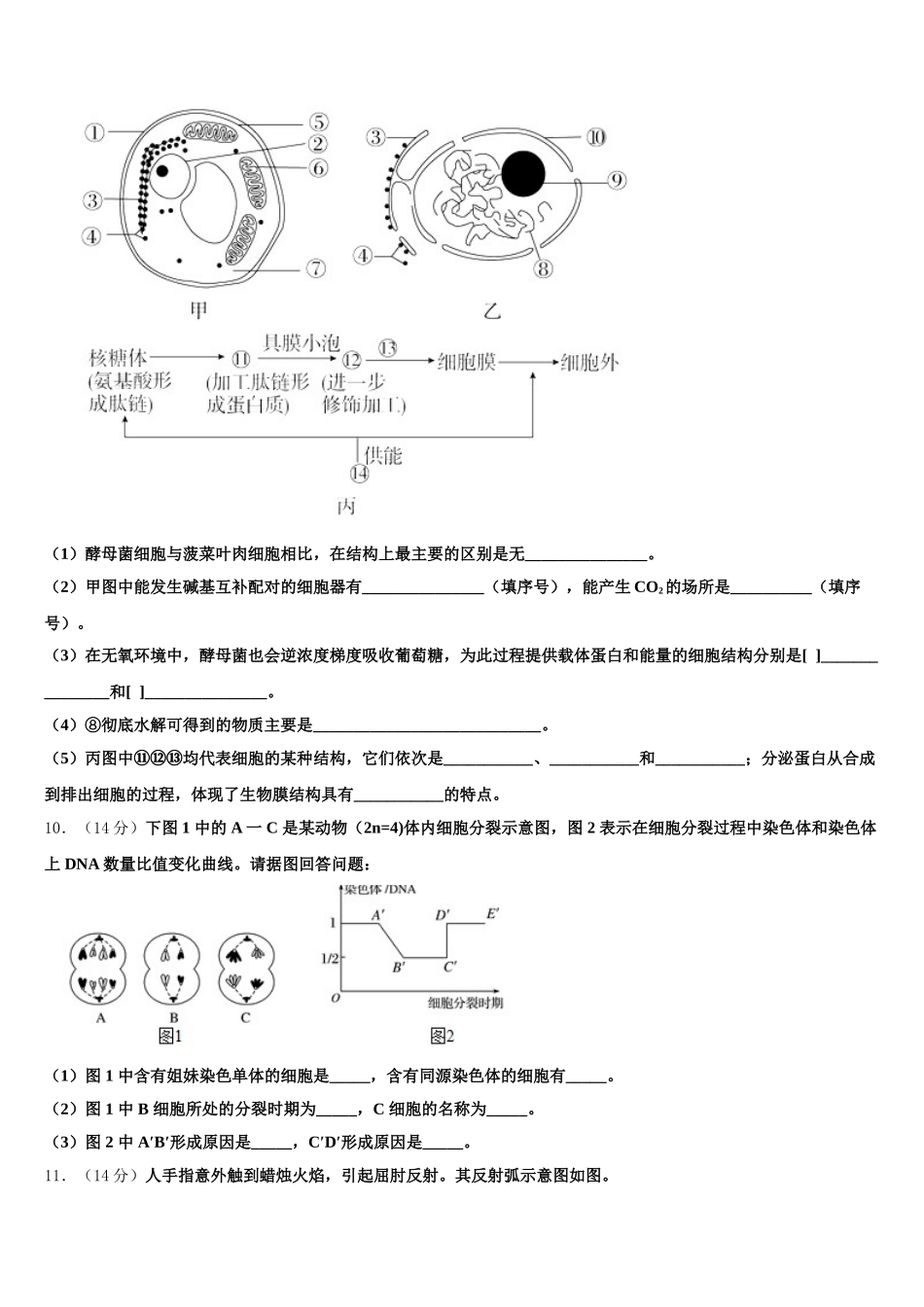 四川省乐山沫若中学2025届高一下生物期末学业水平测试试题含解析_第3页