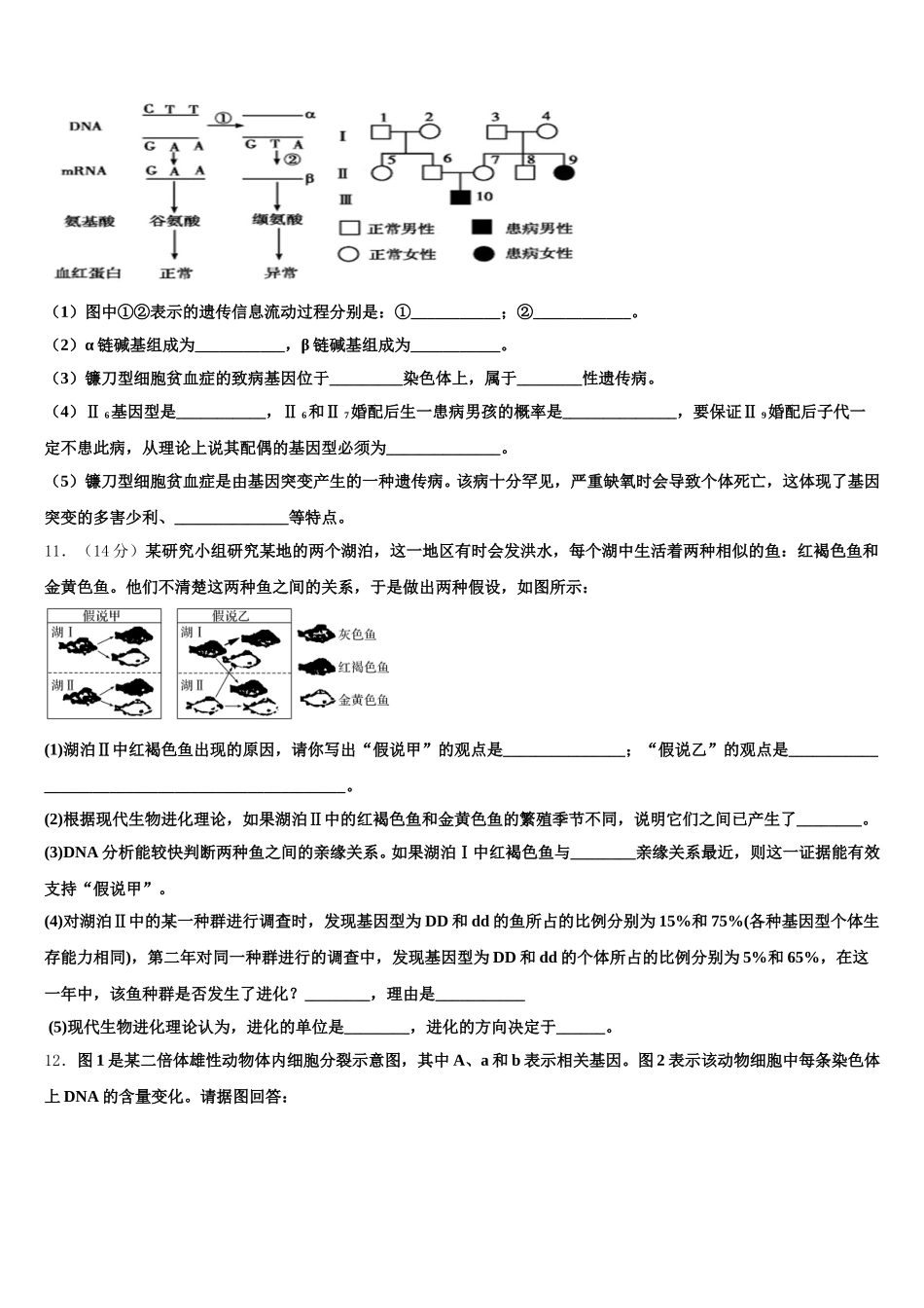 2025年四川省宜宾市叙州一中高一下生物期末调研模拟试题含解析_第3页