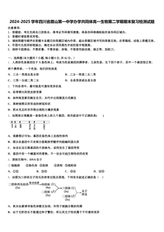 2024-2025学年四川省眉山第一中学办学共同体高一生物第二学期期末复习检测试题含解析