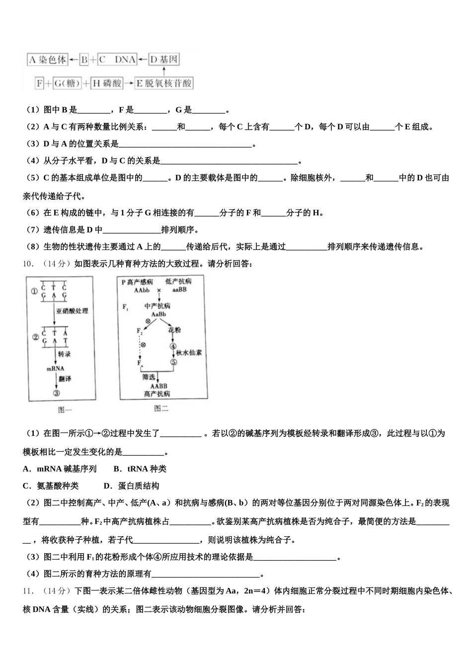 2025年四川省成都市实验中学高一下生物期末联考模拟试题含解析_第3页