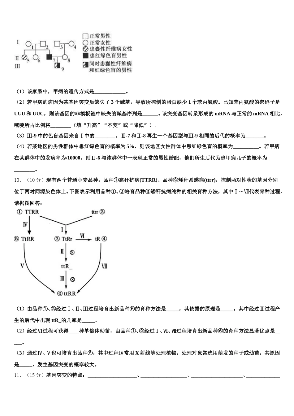 2024-2025学年四川省成都市树德中学高一下生物期末学业质量监测试题含解析_第3页