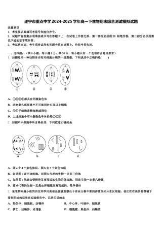 遂宁市重点中学2024-2025学年高一下生物期末综合测试模拟试题含解析