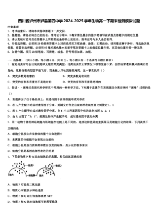 四川省泸州市泸县第四中学2024-2025学年生物高一下期末检测模拟试题含解析