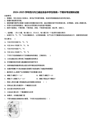 2024-2025学年四川内江威远龙会中学生物高一下期末考试模拟试题含解析
