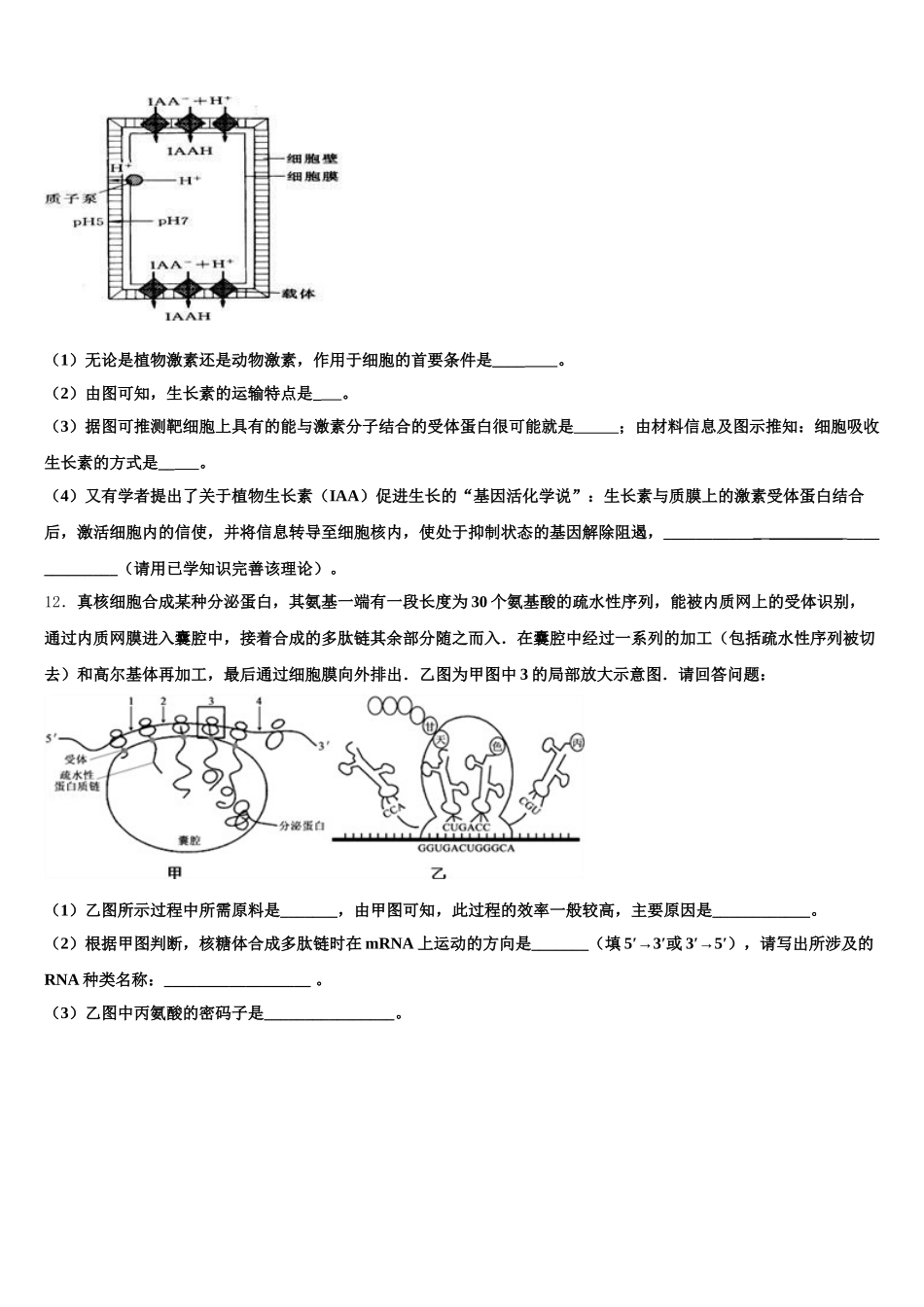 四川省眉山市仁寿县第一中学校北校区2025年高一下生物期末调研试题含解析_第3页
