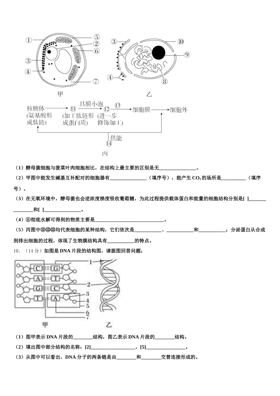 2024-2025学年四川省成都市九校生物高一下期末调研试题含解析_第3页
