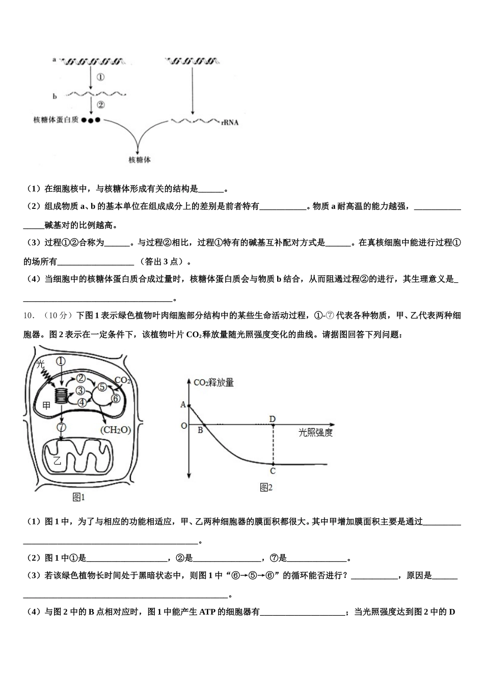 四川南充市第一中学2025年生物高一第二学期期末学业质量监测试题含解析_第3页