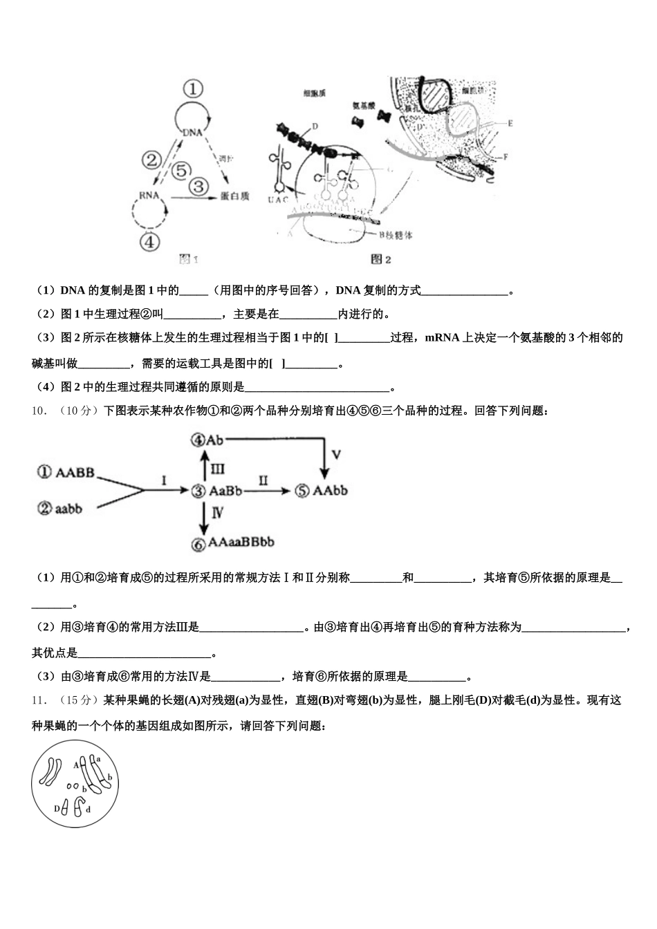四川省遂宁第二中学2024-2025学年高一下生物期末联考试题含解析_第3页