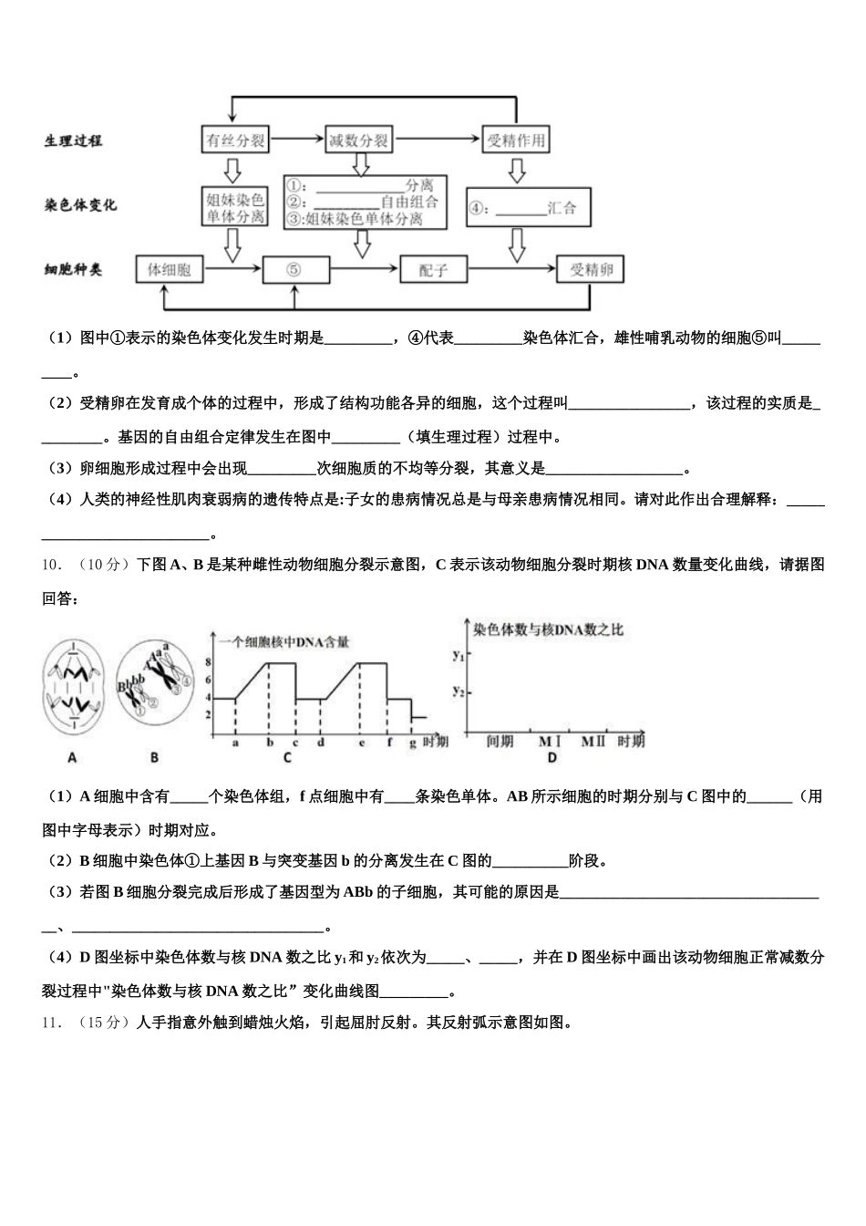 四川省眉山市仁寿县第二中学2025届生物高一下期末教学质量检测试题含解析_第3页