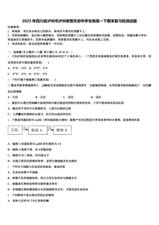 2025年四川省泸州市泸州老窖天府中学生物高一下期末复习检测试题含解析