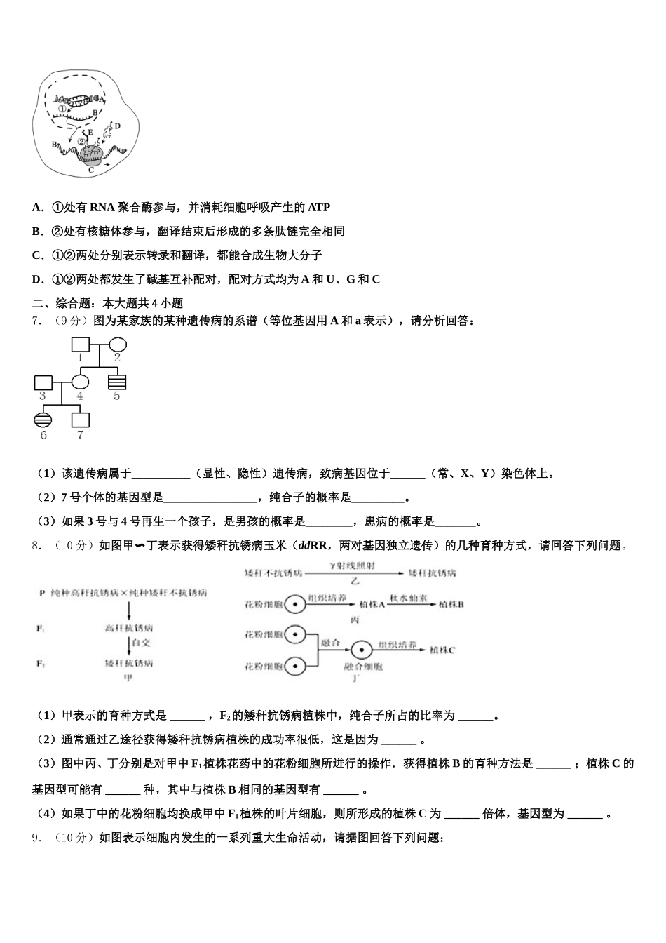 2025年四川省武胜中学生物高一下期末检测模拟试题含解析_第2页