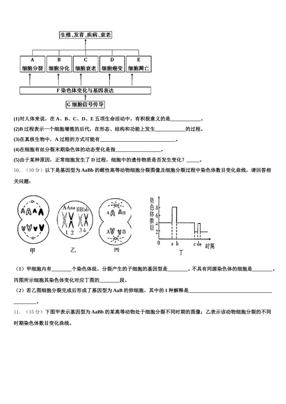 2025年四川省武胜中学生物高一下期末检测模拟试题含解析_第3页