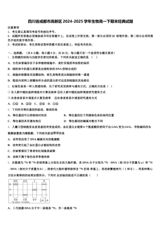 四川省成都市高新区2024-2025学年生物高一下期末经典试题含解析