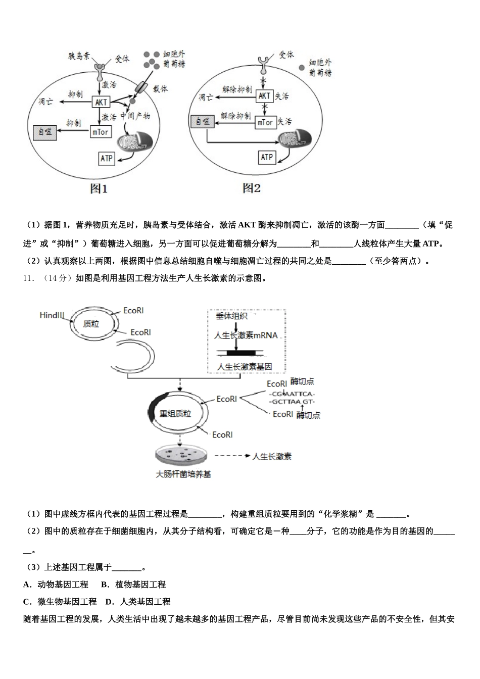 四川省成都实验高级中学2024-2025学年生物高一下期末考试模拟试题含解析_第3页