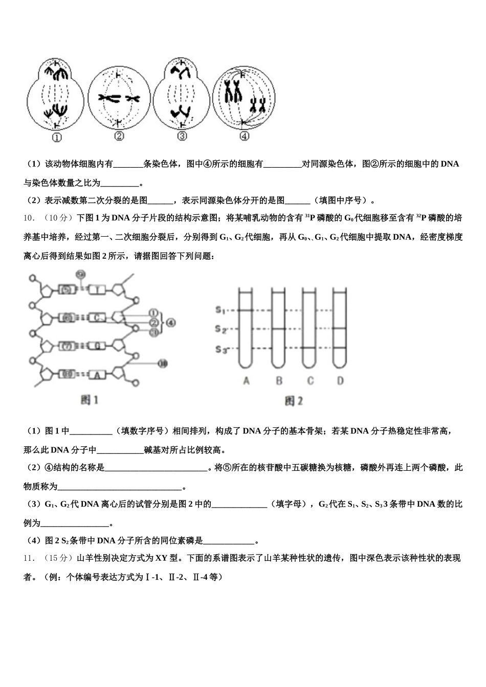 四川省成都市温江中学2024-2025学年生物高一下期末教学质量检测试题含解析_第3页