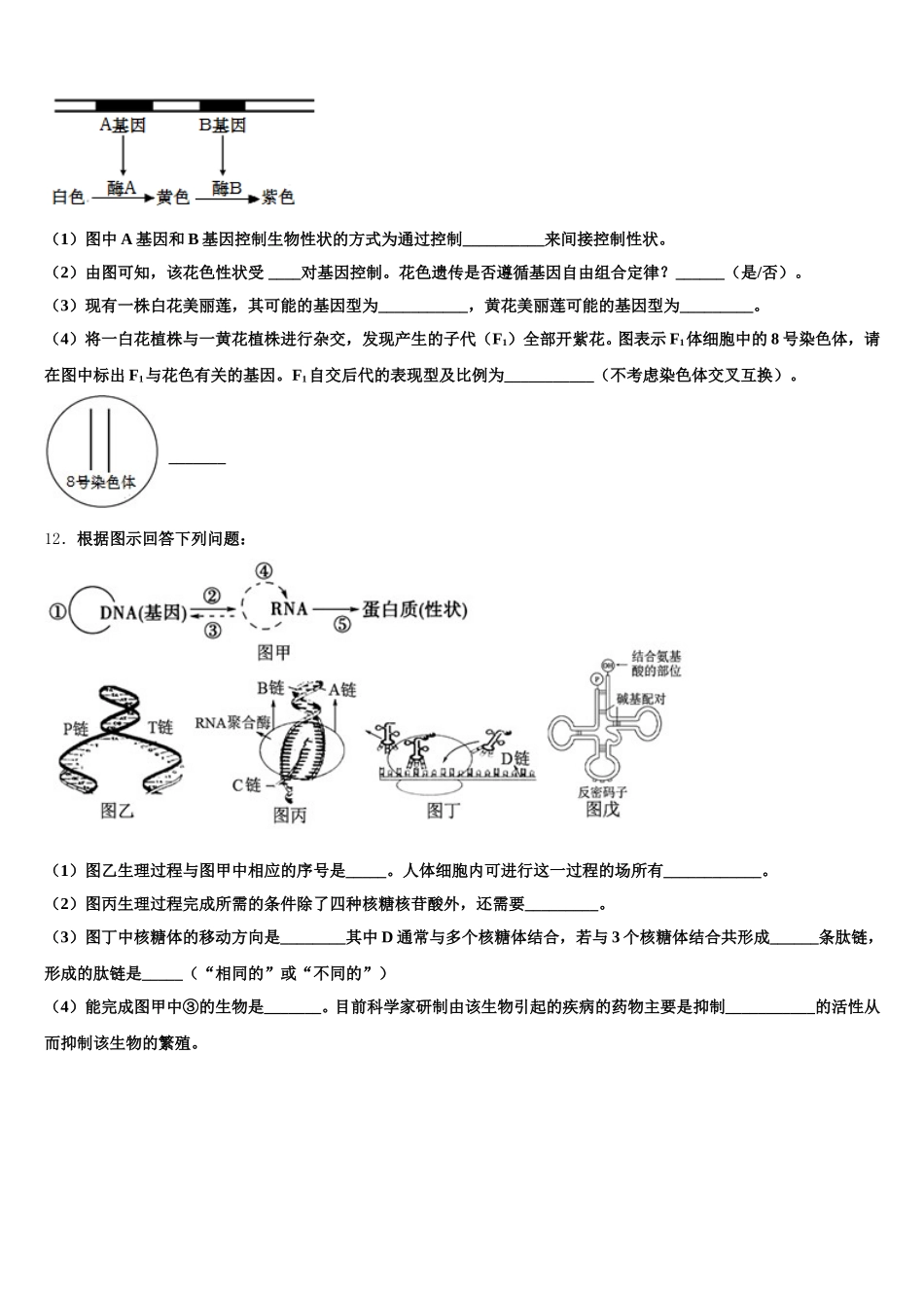2025届四川省邻水实验中学生物高一下期末达标检测试题含解析_第3页