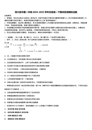 四川省华蓥一中高2024-2025学年生物高一下期末检测模拟试题含解析