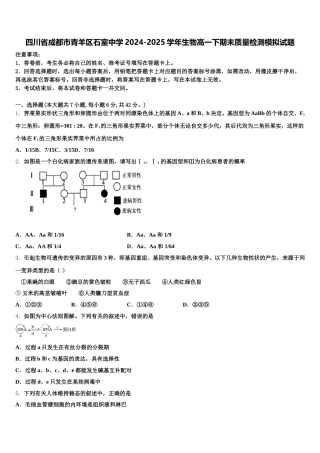 四川省成都市青羊区石室中学2024-2025学年生物高一下期末质量检测模拟试题含解析