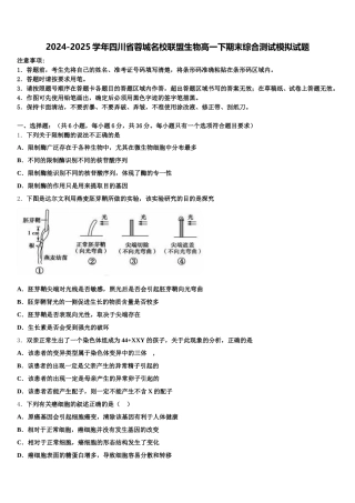2024-2025学年四川省蓉城名校联盟生物高一下期末综合测试模拟试题含解析