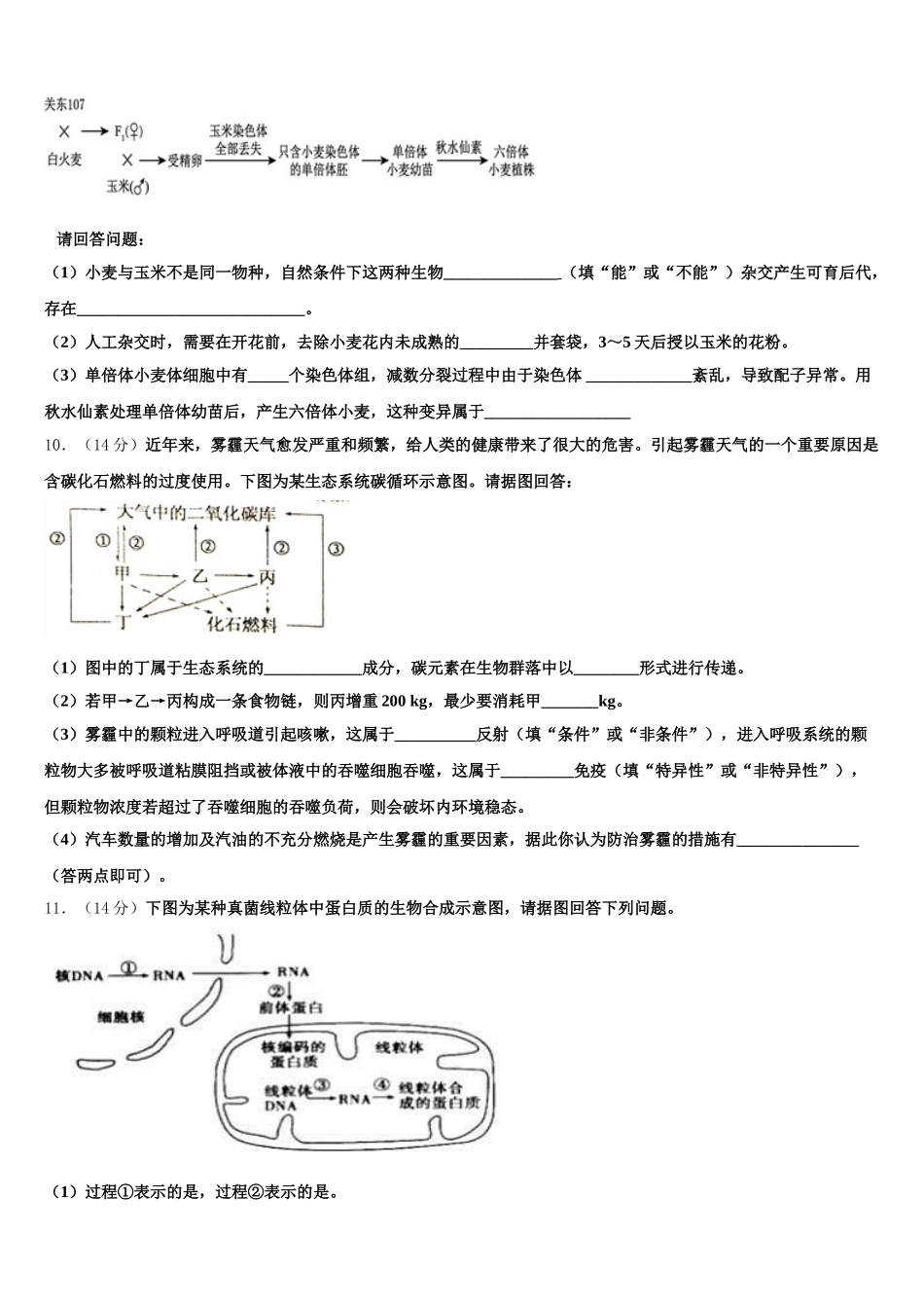 四川乐山市中区2024-2025学年高一生物第二学期期末联考试题含解析_第3页